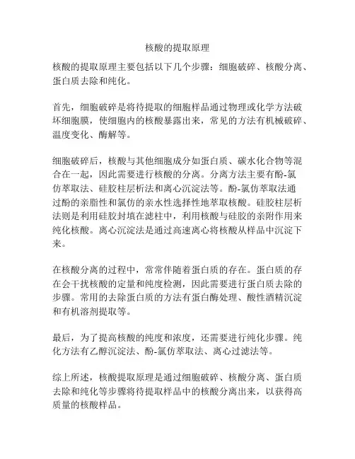 核酸的提取原理