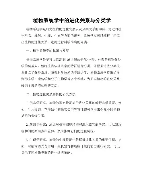 植物系统学中的进化关系与分类学