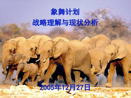 IBM-新奥燃气控股集团—01新奥_现状分析_1227V1[1].0