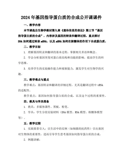 2024年基因指导蛋白质的合成公开课课件