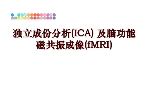 独立成份分析(ICA) 及脑功能磁共振成像(fMRI)PPT课件