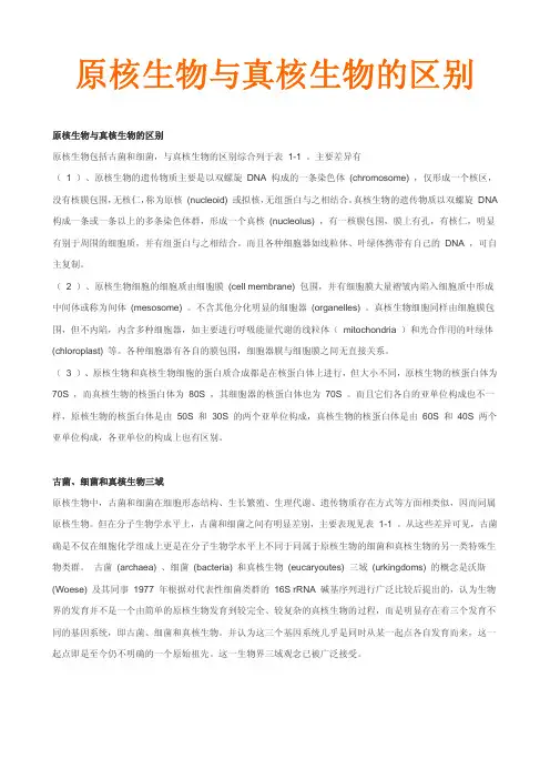 原核生物与真核生物的区别