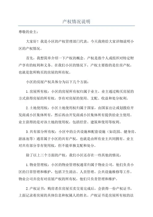 产权情况说明