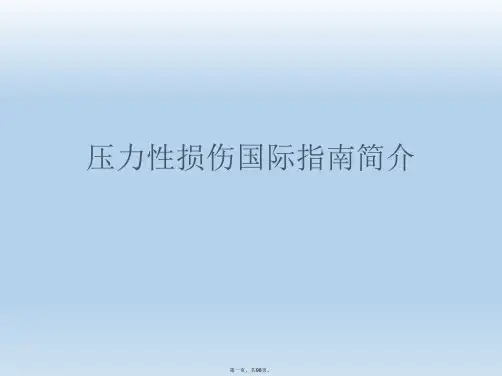 压力性损伤国际指南简介PPT课件