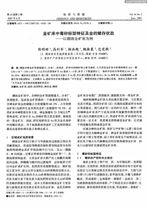金矿床中毒砂标型特征及金的赋存状态——以湖南金矿床为例