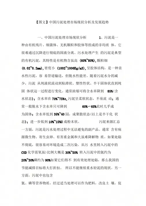 中国污泥处理市场现状分析及发展趋势