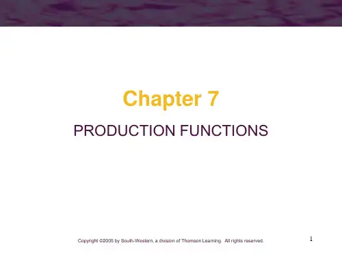 PRODUCTION FUNCTIONS(生产函数)尼科尔森中级微观ppt
