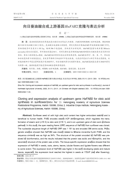 向日葵油酸合成上游基因HaFAB2克隆与表达分析