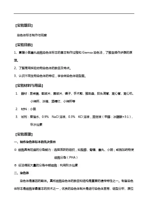 染色体标本制作和观察实验报告