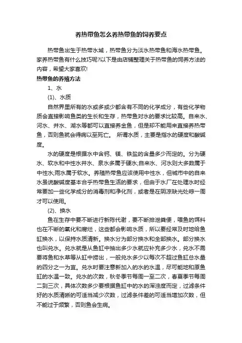 养热带鱼怎么养热带鱼的饲养要点