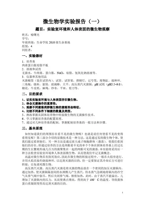 实验室环境和人体表面的微生物观察实验报告YU