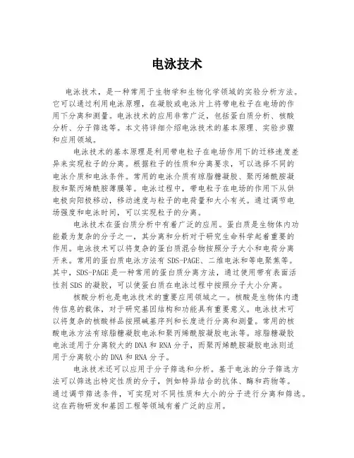 电泳技术 