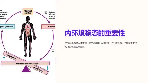 内环境稳态的在重要性
