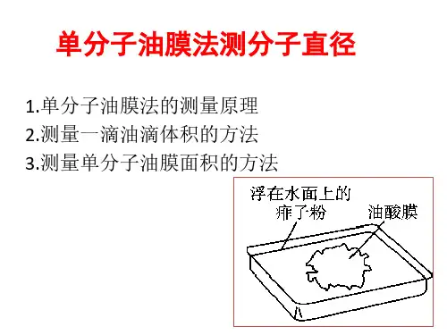 实验：单分子油膜法测分子直径ppt课件【可修改文字】