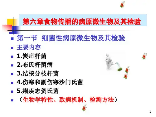 常见病原微生物检测