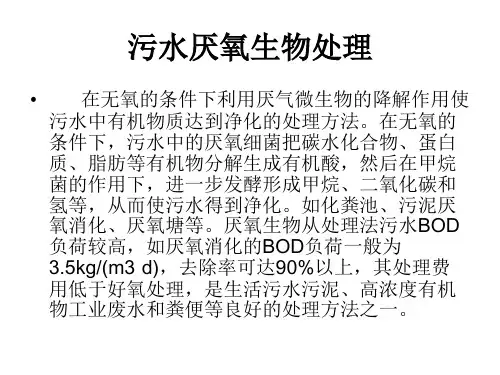 第6章污水厌氧生物处理精品PPT课件