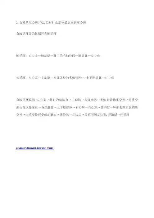 心脏血流动力学
