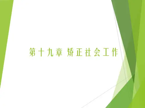 第十九章 矫正社会工作
