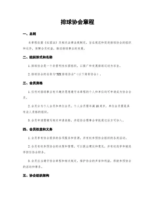 排球协会章程