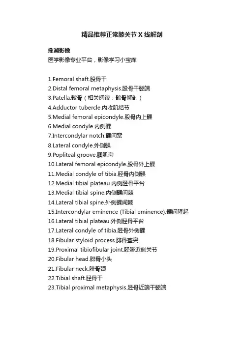 精品推荐正常膝关节X线解剖