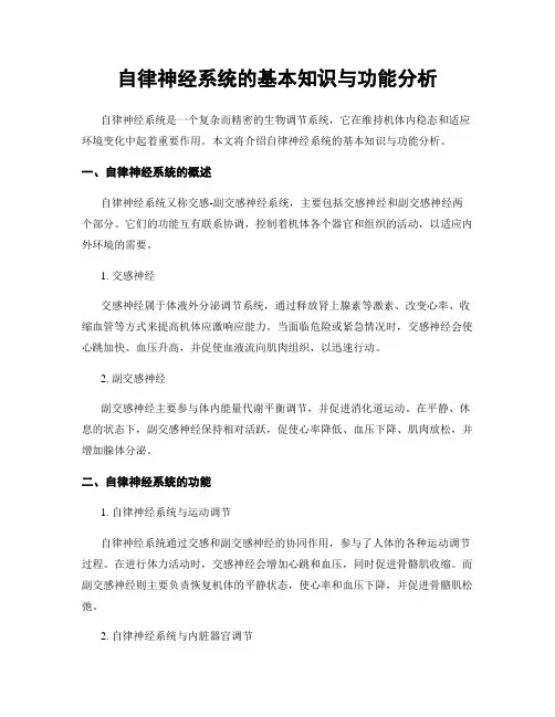 自律神经系统的基本知识与功能分析