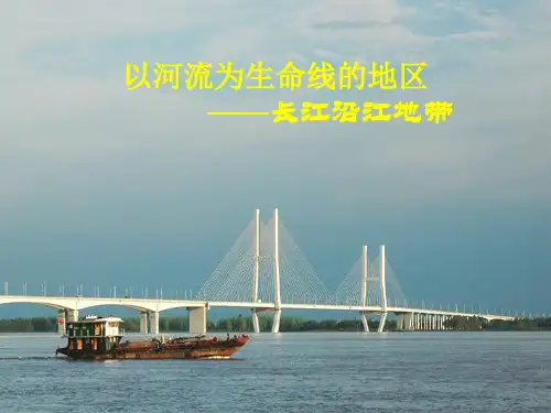 长江沿江地带PPT课件