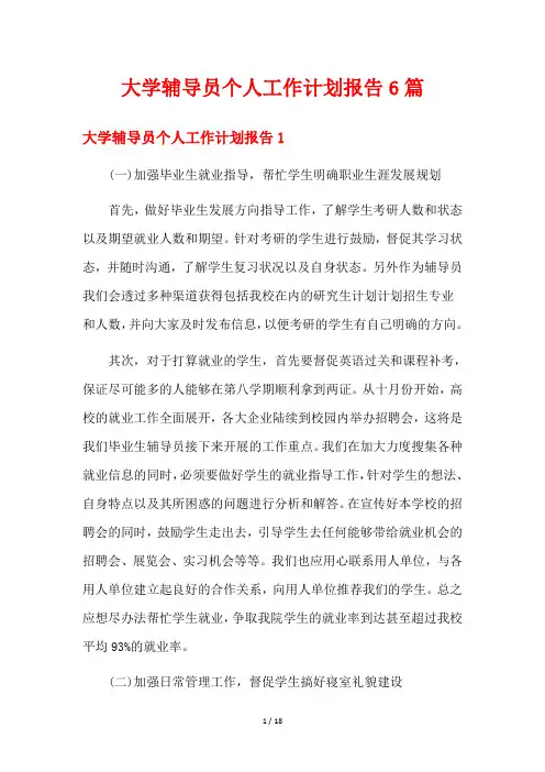 大学辅导员个人工作计划报告6篇