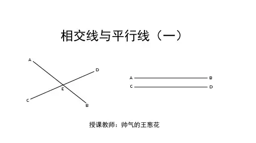 人教版七年级数学下册 第五章 相交线和平行线复习课件(16ppt)