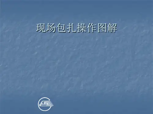 现场包扎术PPT课件