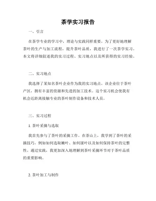 茶学实习报告