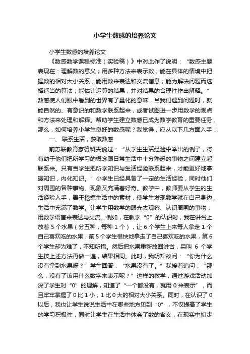 小学生数感的培养论文