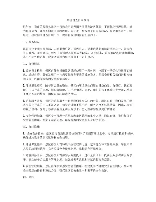 景区自查自纠报告