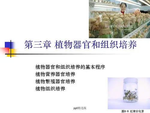 植物组织培养第三章 植物器官和组织培养ppt课件