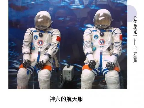 1.2内环境稳态的重要性