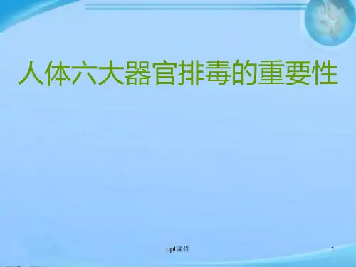 人体六大排毒通道  ppt课件