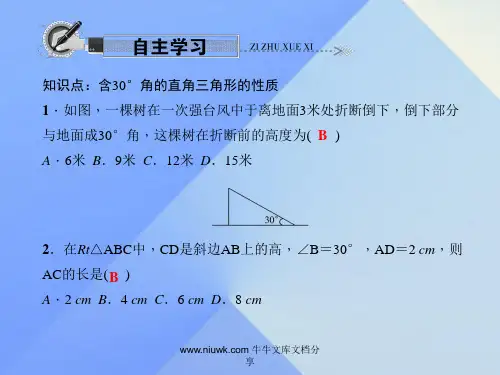 八年级数学上册含30°角直角三角形性质习题新版新人教版