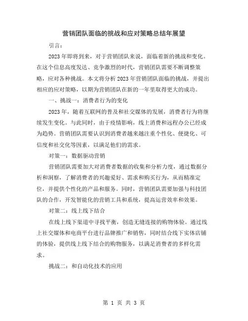 营销团队面临的挑战和应对策略总结
