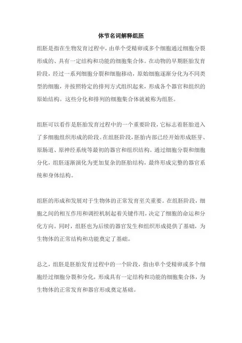体节名词解释组胚