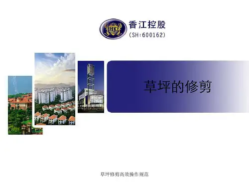 草坪修剪高效操作规范