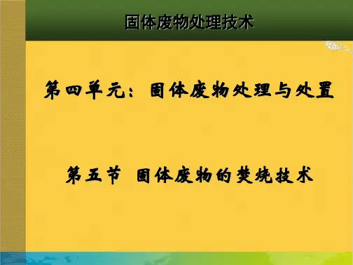 固废焚烧处理全套PPT