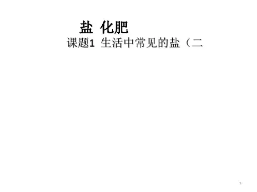 生活中常见的盐(2)(教学课件)-初中化学人教版五四制九年级全册