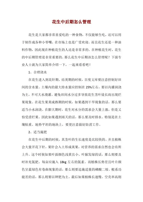 花生中后期怎么管理