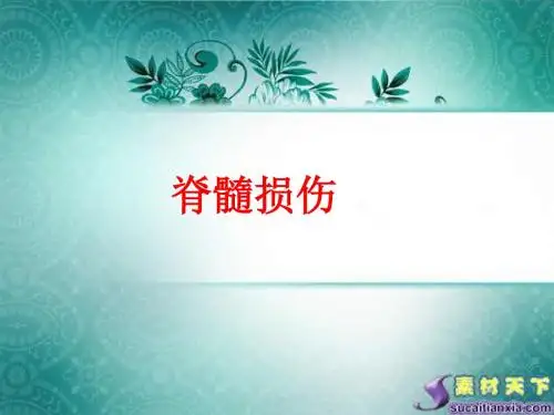 脊髓损伤