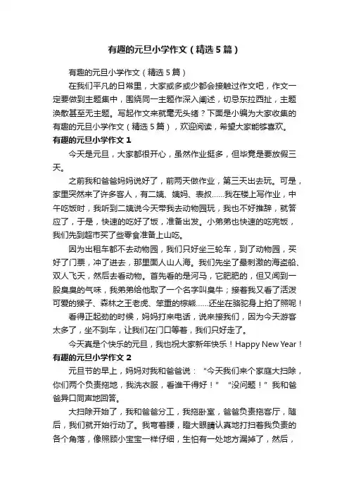 有趣的元旦小学作文（精选5篇）