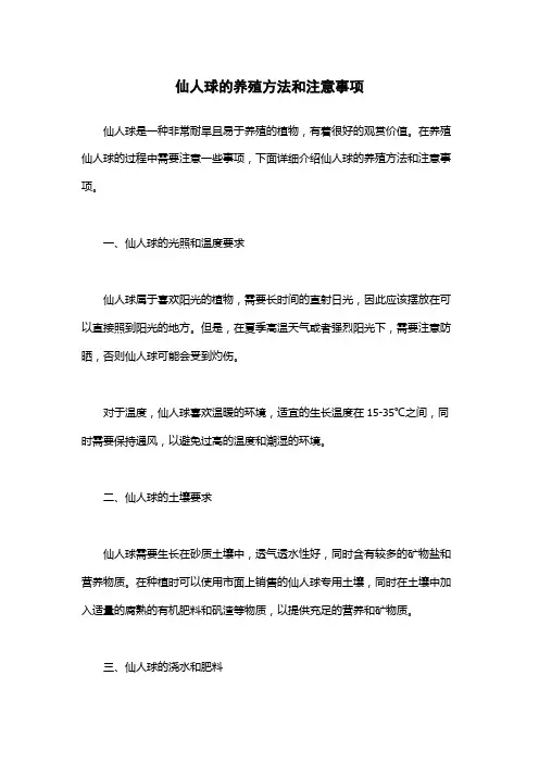 仙人球的养殖方法和注意事项