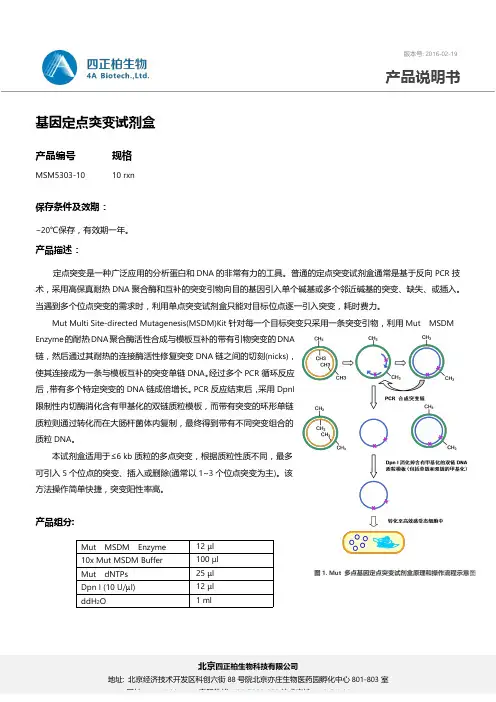 四正柏生物科技基因定点突变试剂盒说明书