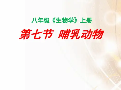 哺乳动物课件(共34张PPT)