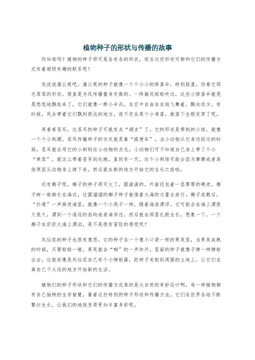 植物种子的形状与传播的故事