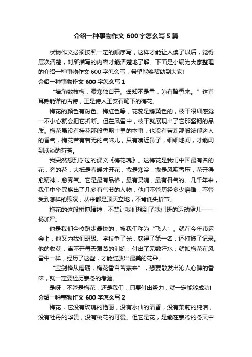 介绍一种事物作文600字怎么写5篇