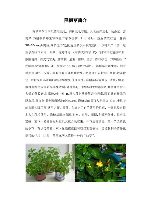 降糖草简介
